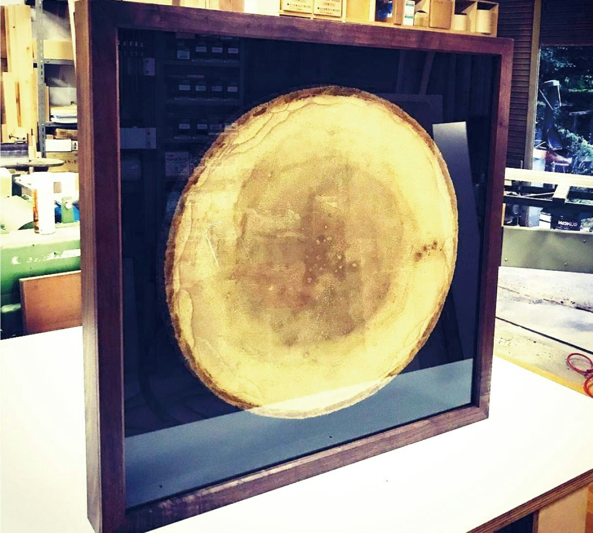 大学のシンボルだった「ヤシの木」をインテリアの一部にリメイクした