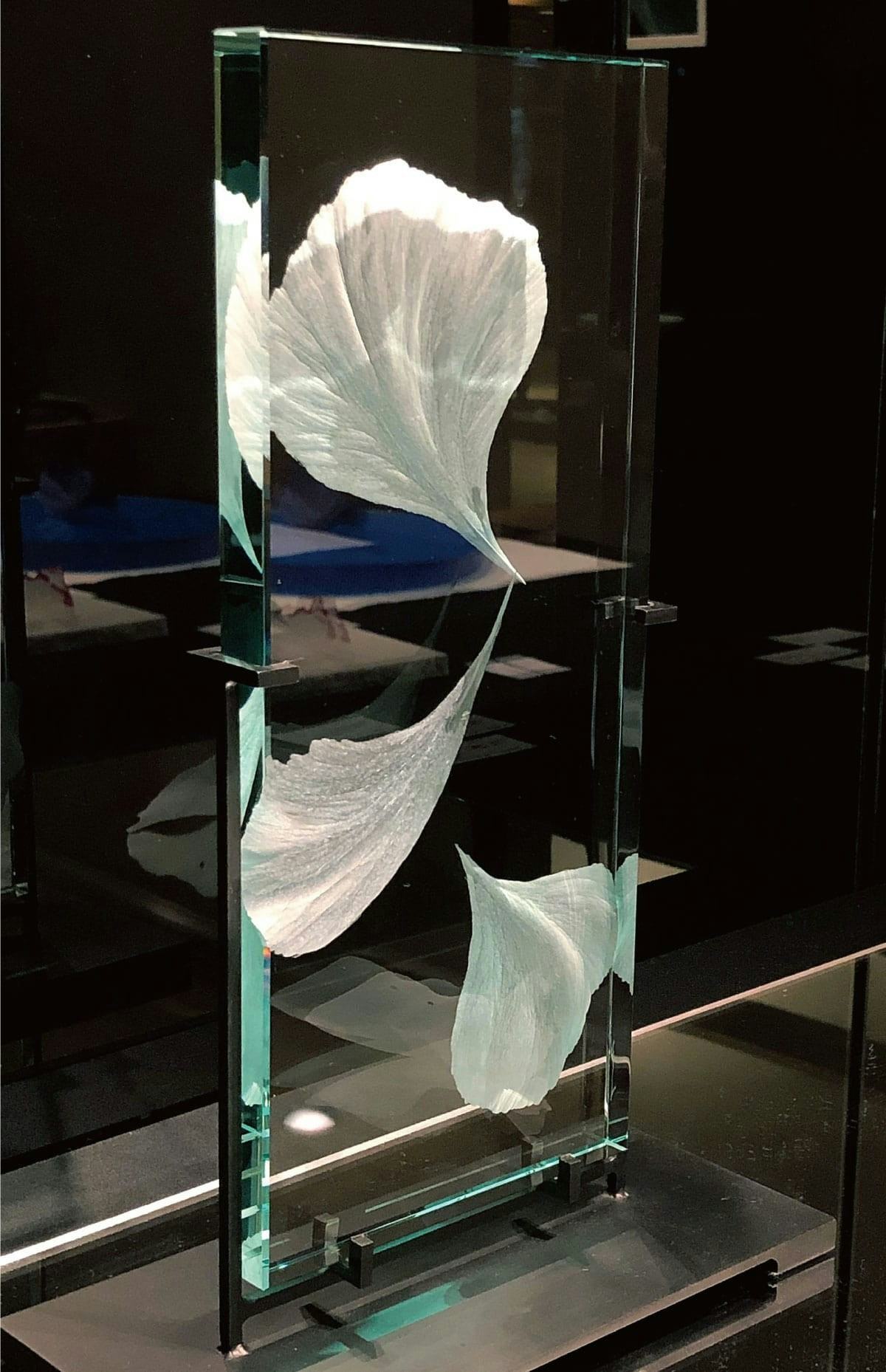 ガラス特有の青みが綺麗！展覧会に出品する作品に「フロートガラス」を