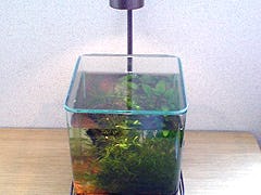 デザインガラス で 角の丸い水槽 を作って頂けますか デザインガラス Com デザインガラス で 角の丸い水槽 を作って頂けますか デザインガラス Com