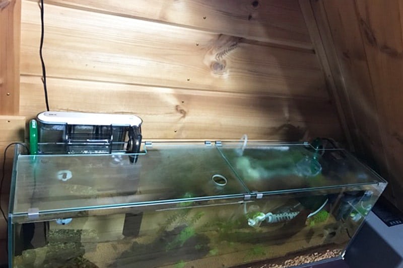 オリジナルの水槽蓋！水槽のガラス蓋に「透明ガラス」を使用した