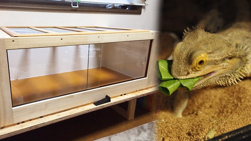 大型爬虫類飼育ケージに「強化ガラス」を使用した事例(東京都江東区 T 