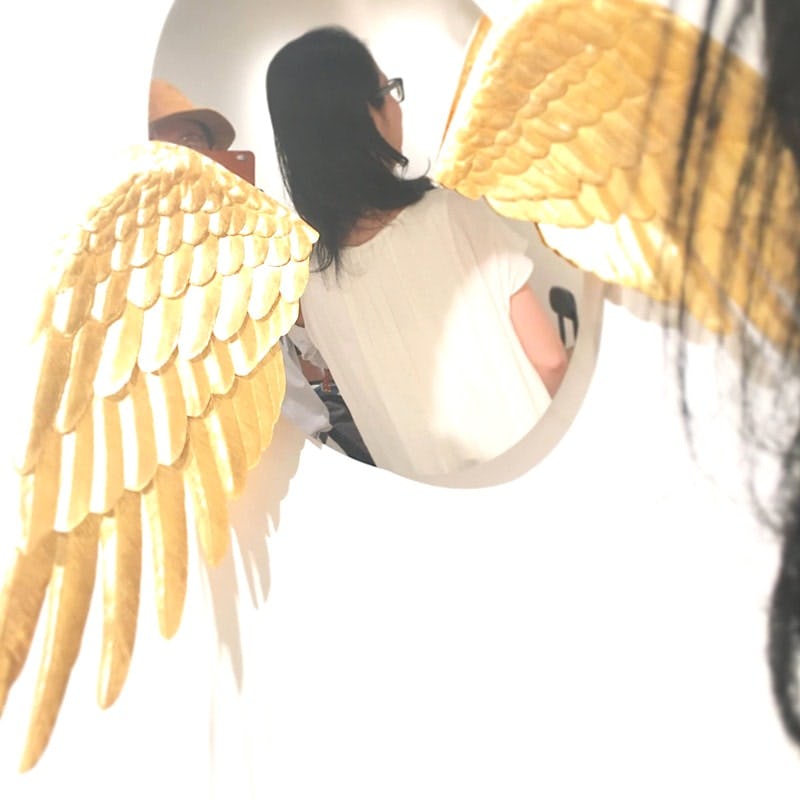 美術作品に使用した「ステンレスミラー」(2)