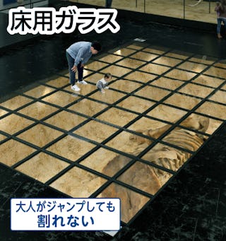 強化ガラスを加工した「床用ガラス」