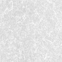 スタンダードタイプ 工芸和紙シリーズ (荒雲竜)