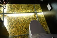 店舗トイレの床